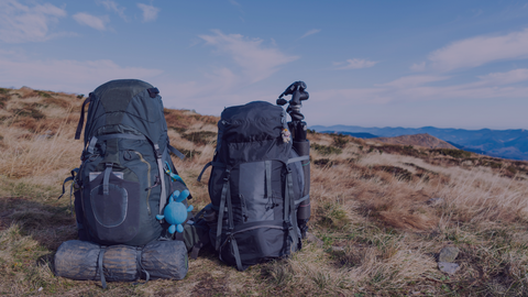 Top Picks for Camping Meals: A Comparison of Outdoor Food Brands