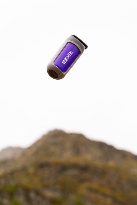 WISEMEAL: Revolutionizing Nutrition for the Modern World – Health, Impact, and Resilience