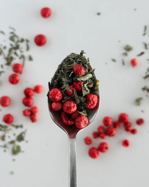 WISETEA’s Red Currant blend with peppermint