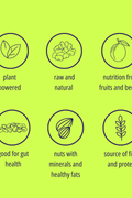 WISEMEAL energy bar taste pack - WISEMEAL
